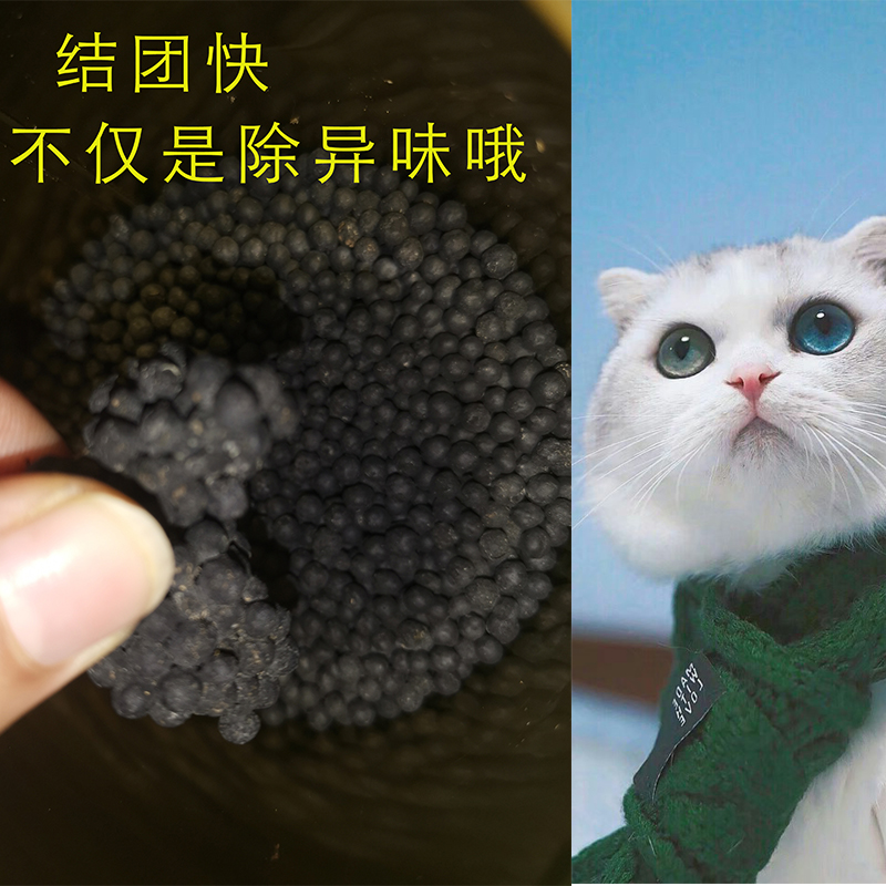 猫砂伴侣